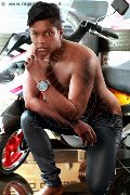 Foto Annuncio Boy Grosseto Ramon Mulatto Brasiliano - 4