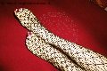 Foto Annuncio Mistress Imperia Dottoressa De Sade - 38
