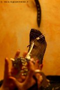 Foto Annuncio Mistress Marina Di Carrara Lady De Sade Italy - 6