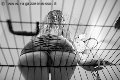 Foto Annuncio Mistress Verona Lady Giuliette - 16