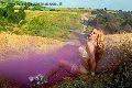Foto Annuncio Trans Francoforte Ts Angelina Crazy Sexy - 21