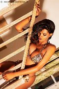 Foto Annuncio Trans Milano Maya Venere - 219