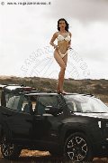 Foto Annuncio Trans Modena Vanessa Hilton - 110