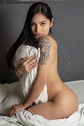 Foto Annuncio Trans Padova Akita Trans Asiatica - 1