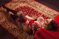 Foto Annuncio Trans Roma Isabella Santos - 43