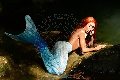Foto Annuncio Transescort Bologna Monica Kicelly - 109