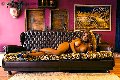 Foto Annuncio Transescort Brescia Jessica Aryani - 18