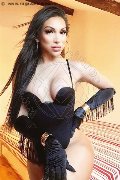 Foto Annuncio Transescort Milano Angel Bunny - 31