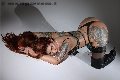 Foto Annuncio Transescort Torino Foxxy Jasmine - 15