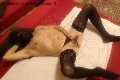 Foto Hot Annuncio Mistress Lodi Lady Penelope - 13
