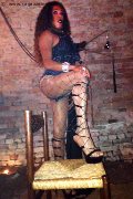 Foto Hot Annuncio Mistresstrans Mestre Lady Paolina - 1