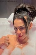 Conegliano Trans Natalia Rodrigues Pornostar 392 11 96 784 foto selfie 3