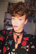 Treviso Trans Valeria 338 87 18 849 foto selfie 588