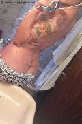 Treviso Trans Valeria 338 87 18 849 foto selfie 1036
