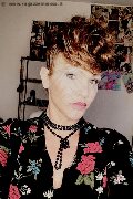 Treviso Trans Valeria 338 87 18 849 foto selfie 603