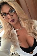 Viareggio Trans Dafne Pornostar 380 14 22 205 foto selfie 57