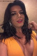 Barcellona Trans Escort Renata Molina  0034686368242 foto selfie 18