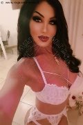 Bologna Trans Escort Rosa Xxxl 328 74 36 345 foto selfie 43