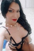 Bologna Trans Escort Rosa Xxxl 328 74 36 345 foto selfie 78