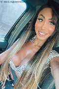 Gallarate Trans Escort Thayys Castro 329 72 89 046 foto selfie 76