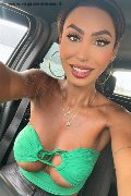 Gallarate Trans Escort Thayys Castro 329 72 89 046 foto selfie 12