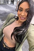 Gallarate Trans Escort Thayys Castro 329 72 89 046 foto selfie 35