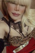 Milano Trans Escort Nicole Vip Venturiny 353 35 38 868 foto selfie 558