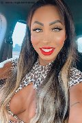 Treviso Trans Escort Thayys Castro 329 72 89 046 foto selfie 69