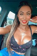 Treviso Trans Escort Thayys Castro 329 72 89 046 foto selfie 75