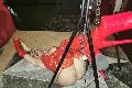 Foto Annuncio Mistresstrans Roma Mistress Laura - 16