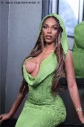 Foto Annuncio Trans Milano Barbie Black - 44