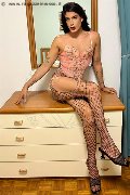 Foto Annuncio Trav Milano Elisa - 24