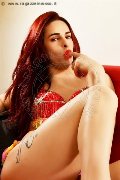 Foto Annuncio Trav Piacenza Elettra - 6