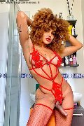 Foto Hot Annuncio Trans Milano Stella - 5