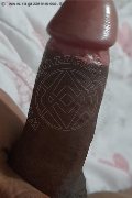 Prato Trans Tain� Oliveira 328 53 82 487 foto selfie 168