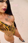 Vercelli Trans Escort Rayla Rios 329 38 77 403 foto selfie 10